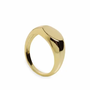 Anillos Especiales | Anillos Dorados | LINEARGENT Anillo sello de plata lisa bañada en oro