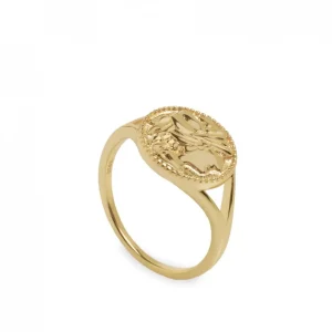 Anillo Sello | LINEARGENT Anillo sello diseño roma de plata bañada en oro