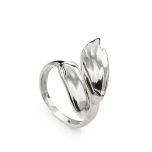 Anillos De Diseño | Anillos Grandes | LINEARGENT Anillos de diseño doble pincelada de plata lisa