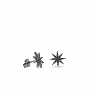 Pendientes Pequeños | LINEARGENT Pendientes brillantes pequeños baño de rutenio con motivo estrella polar