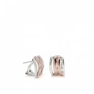 Pendientes Bicolor | Pendientes Cierre Omega | LINEARGENT Pendientes cierre omega diseño carriles bicolores