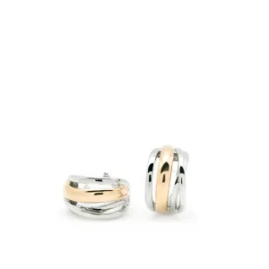 Pendientes Bicolor | Pendientes Cierre Omega | LINEARGENT Pendientes cierre omega diseño de tres carriles bicolores